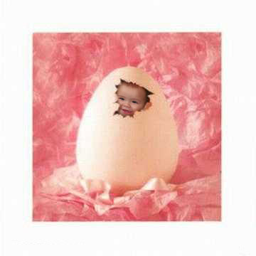 l'oeuf
